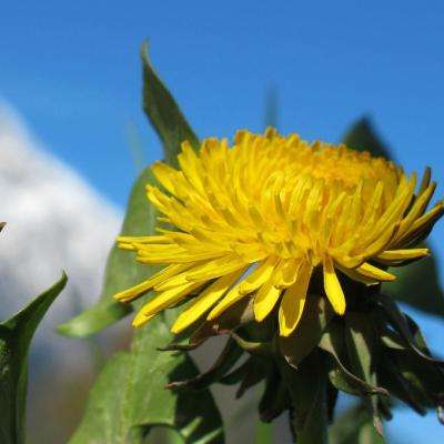 极速赛车社区合作平台