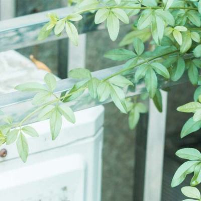 云平台appapp下载