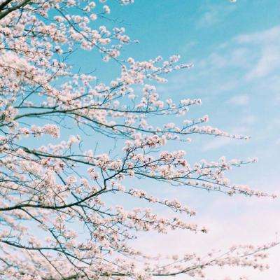 澳门·新甫京娱乐娱城手机app下载